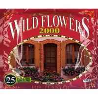 エヌケイインターナショナル 花の種（ワイルドフラワー2000） 花壇 WILD-F2
