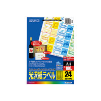 コクヨ （KOKUYO） カラーLBP&PPC用光沢紙ラベル A4 1袋（100シート入）