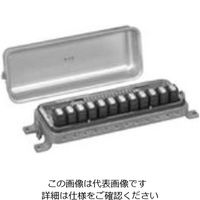 CKD パルスジェットバルブ操作用ボックス形多連式電磁弁 PJVB-6-3-11-AC200V 1個（直送品）