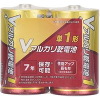 ＬＲ２０ＶＮ２Ｓ　Ｖアルカリ電池　単１／２Ｓ　1パック 007596400 1パック×12パック（直送品）