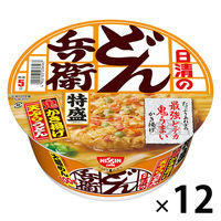 日清食品　日清のどん兵衛 特盛