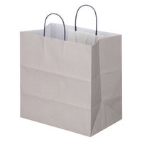 アスクルカタログ リサイクル手提げ紙袋「Come bag／カムバッグ」320×330×200mm 1袋（50枚入）  オリジナル