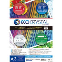 SAKAEテクニカルペーパー 耐水紙エコクリスタル ECO-230-A3 10枚　1冊（直送品）