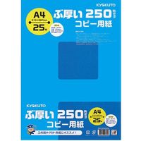 日本ノート ぶ厚いコピー用紙　PPC250A4*20冊 PPC250A4(20) 1箱（直送品）