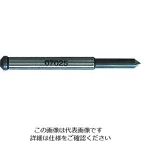 日東工器 日東 パイロットピンBー2(07025L) 37319 NO.07025L 1本(1個) 778-0311（直送品）