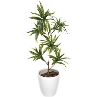 ササガワ フェイクグリーン・人工観葉植物 ソングオブインディア Mサイズ 32-8712 1個（直送品）