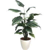 ササガワ フェイクグリーン・人工観葉植物 ホスタ Lサイズ 32-8720 1個（直送品）