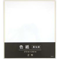 色紙２枚パック（画仙）　×250組 12-101 1ケース 協和紙工（直送品）