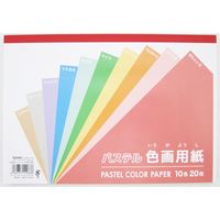 色画用紙　パステル　セミＢ5　10色(20枚)×100冊 45-034 1ケース 協和紙工（直送品）