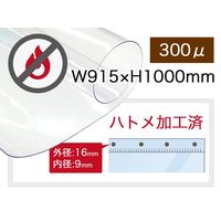 飛沫防止 防炎 ビニールカーテン ハトメ付 幅915×高さ1000mm 透明 2012128003 （飛沫対策） 1セット（5枚入）（直送品）