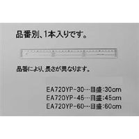 エスコ 30cm 定規(アクリル製) EA720YP-30 1セット(30個)（直送品）