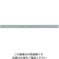 エスコ 300mm[左方向] ハイブリッドスケール(ネジ止) EA948JC-21 1セット(2本)（直送品）