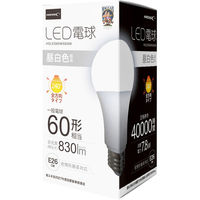 磁気研究所 LED電球 60W相当 全方向 4万時間タイプ 昼白色 E26口金 HDLED60W5000K 1セット（2個入）（直送品）