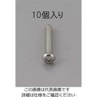 エスコ M6 x20mm 六角穴付鍋頭ボルト(ステンレス製/10本) EA949MF-620 1セット(100本:10本×10パック)（直送品）