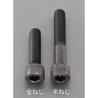 エスコ M4 x25mm[超強度・超張力]六角穴付ボルト(2本) EA949DN-425 1セット(60本:2本×30袋)（直送品）