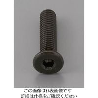 エスコ M6 x30mm 六角穴付ボルト(超低頭/クロメート/4本) EA949MG-630A 1セット(40本:4本×10パック)（直送品）