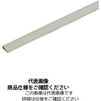 光モール 鉄板カブセ 1000mm 811 1セット（6本）（直送品）