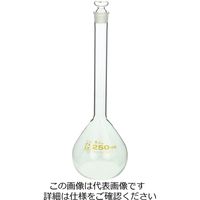 柴田科学 メスフラスコ スーパーグレード 250mL 1個 020060-250（直送品）