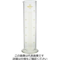 柴田科学 メスシリンダー カスタムA 10L 026500-100001 1個（直送品）