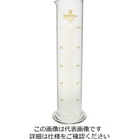 柴田科学 メスシリンダー カスタムA 026500