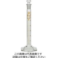 柴田科学 有栓メスシリンダー カスタムA 026580
