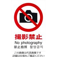 光 多国語ピクトサイン 撮影禁止 TGP2032-2 1枚 195-0172（直送品）