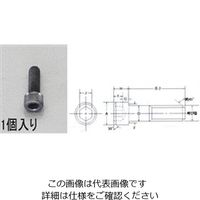 エスコ M24x 80 [高強度・高張力]六角穴付ボルト EA949DJ-5080 1セット(2個:1個×2袋)（直送品）