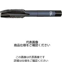 ポイントタップSUS用 EX-SUS-POT H STD NO.4-48UNF 15163（直送品）