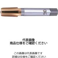 チタンガステーパタップ TIN-LT-TPT H 2 PT1/8-28X120 8309305（直送品）