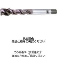 コーティングスパイラル H M2.5X0.45 8310259 V-SFT M2.5 X 0.45 HSE STD（直送品）