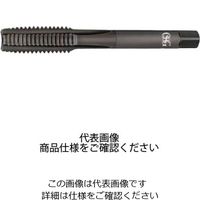 SUS用タップ EX-SUS-HT #2 H STD M12X1.75 22024（直送品）