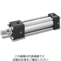 TAIYO（タイヨー） 7/14MPa用複動形油圧シリンダ 70H-81SD63BB100-AB（直送品）