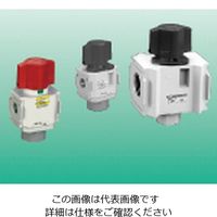CKD 残圧排出弁 白色シリーズ V3000-10-W 1個（直送品）