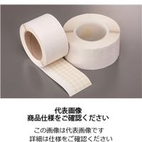 岩田製作所 マスキングテープE TB010 1セット（2巻：1巻×2個）（直送品）