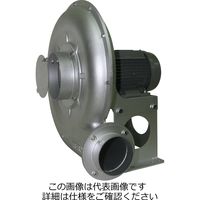 テラル（TERAL） テラル 送風機 （0.75KW-60HZ） KT-6075-BH-E