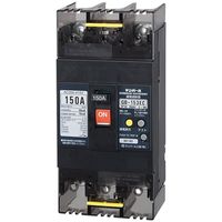 テンパール工業 漏電遮断器 153EC15W24 1台（直送品）