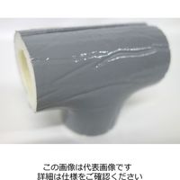 イワキ（IWAKI） 表皮付きチーズカバー PEGT