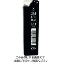 たくみ 建築用筆記具 マーキングシャープ1.3mm替芯 2B 7875 1パック(20本) 195-0232（直送品）