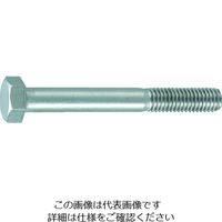 トラスコ中山 TRUSCO 六角ボルトステンレス半ねじタイプ M20X75 2本入 B23-2075 1パック(2本) 207-1675（直送品）