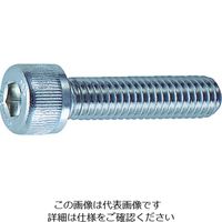 トラスコ中山 TRUSCO 六角穴付ボルト ステンレス 全ネジ M2×4 22本入 /キャップボルト(CAP) B44-0204 1パック(22本)（直送品）