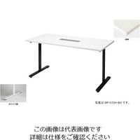 ナイキ 会議用テーブル （矩形・H720） （配線ボックス付） MP1290H