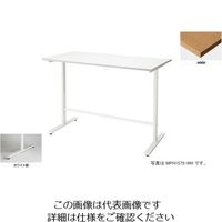 ナイキ 会議用テーブル （矩形・H1000） MPH1275