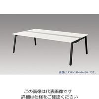 ナイキ 大型ベンチテーブル (基本型) (両面タイプ) RXFN1614K-BH 1台 214-4036（直送品）