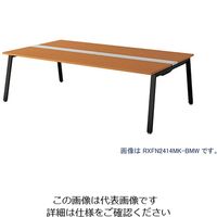 ナイキ 大型ベンチテーブル (基本型) (両面タイプ) RXFN1614K-BMW 1台 209-1835（直送品）