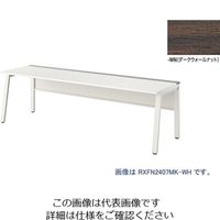 ナイキ 大型ベンチテーブル (基本型) (片面タイプ) RXFN2007K-WWN 1台 212-1957（直送品）