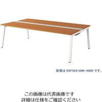 ナイキ 大型ベンチテーブル (基本型) (両面タイプ) RXFN1614K-WMW 1台 209-1851（直送品）