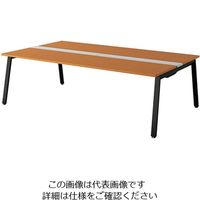 ナイキ 大型ベンチテーブル （基本型） （両面タイプ） RXFN2414K