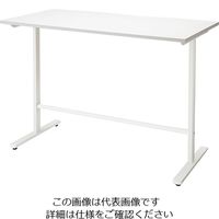 ナイキ 会議用テーブル （矩形・H1000） MPH1575
