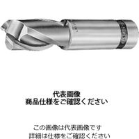 ダイジェット工業 付け刃エンドミル OCEB形 OCー100 OC-100 1個（直送品）
