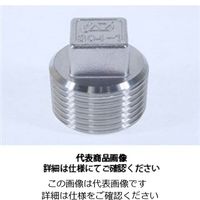 オーエヌ工業 P四角プラグ 10A 304P-10A 1個（直送品）